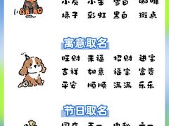 -芭比堂动物医院·心脏科·老年急重症·夜诊·吉雅分院