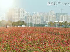 景点-皇粮浜公园