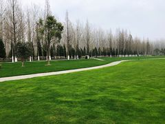 -合肥滨湖国家森林公园