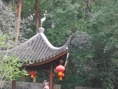 -深圳国际园林花卉博览园