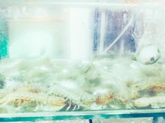 -四海鲜渔家菜(黄金海岸店)