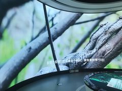 -大连市规划展示中心