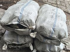 -五营红松林海景区