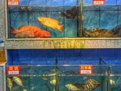 -东江海鲜大排档·潮汕菜·砂锅粥