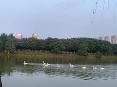 -艾溪湖湿地公园