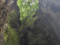 -牛背梁国家森林公园