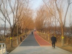 -大兴滨河森林公园