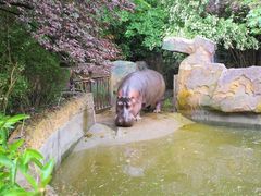 -宁波野生动物园