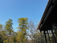 -素描餐厅(灵隐天竺店)