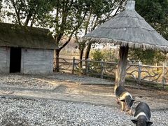 -昆山城市生态森林公园