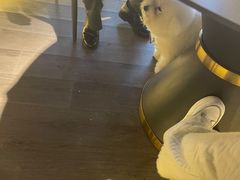 -春申里餐厅(银泰in99店)