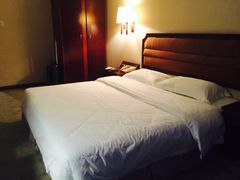 扬子岛酒店-扬子岛酒店(重庆洪崖洞解放碑店)