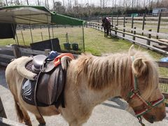 -前小桔亲子创意农场·草莓采摘·露营烧烤