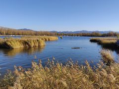 -野鸭湖国家湿地公园