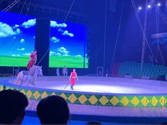 -蓬莱欧乐堡梦幻世界