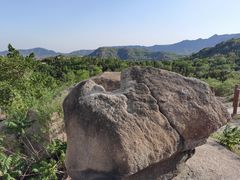 -白水寺森林公园