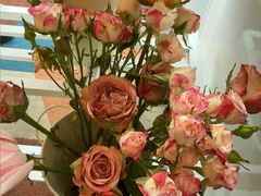 -奔驰上海利星(七宝店)