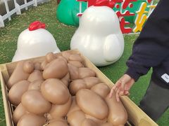 -OCT PARK欢乐时光