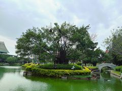 -厦门大学(思明校区)