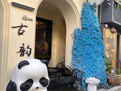 -溪岸路花鸟市场