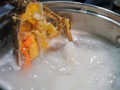 -蚝专家