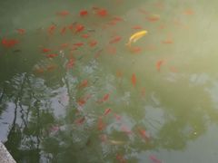 -龙潭水乡
