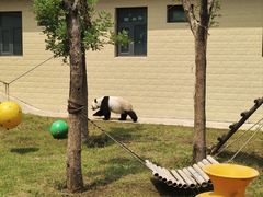 -石家庄市动物园