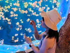 -威海华夏城景区