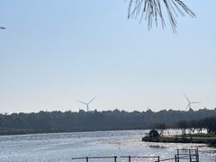 -上海海湾国家森林公园