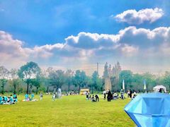 -上海海湾国家森林公园