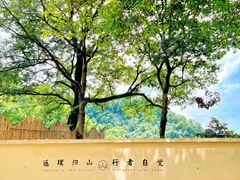 -南山植物园