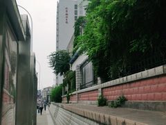 -首都医科大学附属北京潞河医院