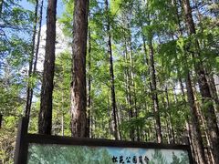 -北极星广场