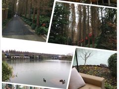 怡沁园度假村-上海怡沁园度假酒店