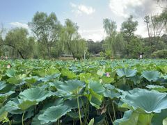 -承德避暑山庄景区