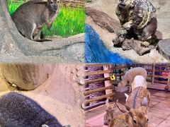 -正佳雨林生态植物园