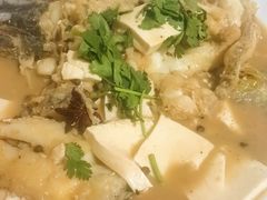 -煲来饱去冷水鱼