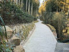 -东明山森林公园
