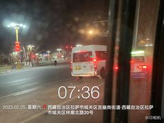 -布达拉宫