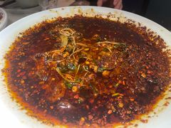 -院8里·小聚园老川菜(九眼桥店)