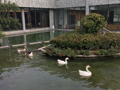 -河北霸州茗汤日月潭温泉