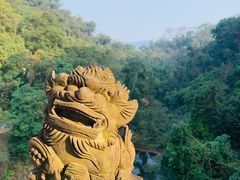 -鼎湖山风景区
