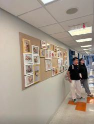 -杭州贝瑞斯美华妇儿医院·早孕·产检·儿科