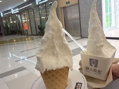 -野人先生Gelato(上海长宁龙之梦店)