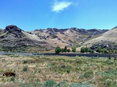 -新疆天山野生动物园