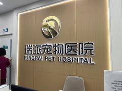 -瑞派康怡24h宠物医院·犬猫医疗中心·微创绝育(瑞景分院)