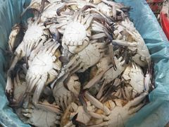 -中国舟山国际水产城