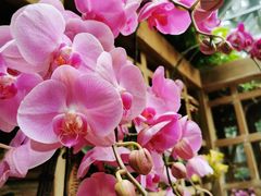 -南山植物园