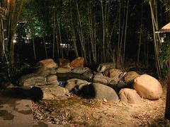 -咸宁万豪温泉谷度假区