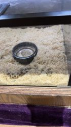 -Zoolung Zoolung动物主题公园(海信广场店)